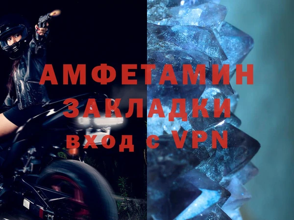 шишки Тихвин