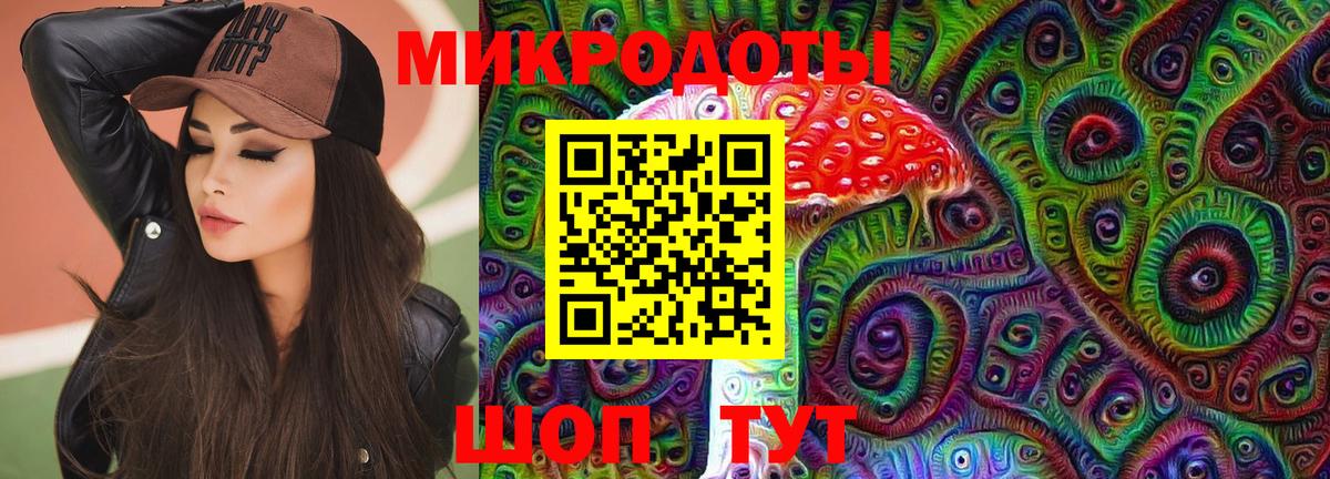 Выборг  Галлюциногенные грибы Psilocybine cubensis  Вход с VPN  Псилоцибиновые грибы Psilocybine cubensis 