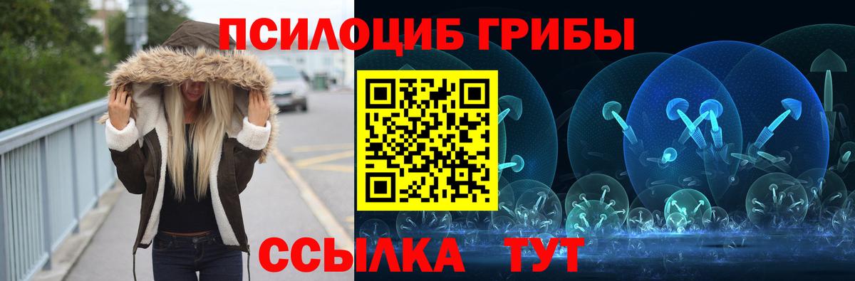 Галлюциногенные грибы прущие грибы Выборг